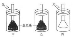某生物興趣小組為探究綠色植物的 光合作用和呼吸作用,設(shè)計了如下實驗裝置.請分析作答: (1) 若要探究光是光合作用的必要條件.應(yīng)該選擇的實驗裝置組合是 .若要探究氧氣是由綠色植物在光下產(chǎn)生的.應(yīng)該選擇的實驗裝置組合是 .(2) 甲裝置試管中收集的氣體可以使帶火星的衛(wèi)生香復(fù)燃.說明綠色植物的光合作用釋放出 .(3) 有同學(xué)利用甲裝置進行了進一步探究,實驗題目和參考答案-