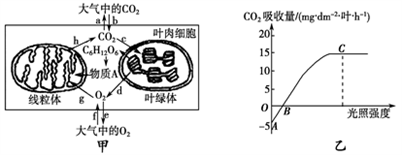 小麥植株進行光合作用和呼吸作用的最適溫度分別為25℃和30℃。下圖甲為小麥葉肉細(xì)胞中的部分代謝示意圖;圖乙是在CO2濃度一定、環(huán)境溫度為25℃、不同光照強度條件