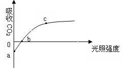14分 某研究者利用栽在花盆中的植物,對植物的光合作用與呼吸作用進行了相關(guān)的研究,圖甲表示此盆綠色植物在兩種不同溫度下釋放氧氣的快慢與光照強度的關(guān)系,圖乙是測定圖甲縱坐標(biāo)上