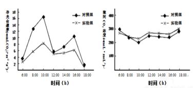 為了研究葉肉細(xì)胞間隙的c02濃度對光合作用的影響.研究人員將若干新鮮的某種植物葉片置于適宜的光照和溫度條件下的實驗裝置中.測定在不同的細(xì)胞間隙c02濃度條件下葉肉細(xì)胞中