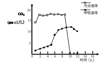 為了探究外界因素與蜜柑光合作用速率之間的關系,實驗人員在4月 6月測定了某地晴朗天氣條件下蜜柑葉片的凈光合速率 a圖 和胞間c02濃度 b圖 的變化情況 請據圖回答下列問題