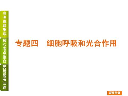 2014屆高考生物二輪復(fù)習 細胞呼吸和光合作用專題精講